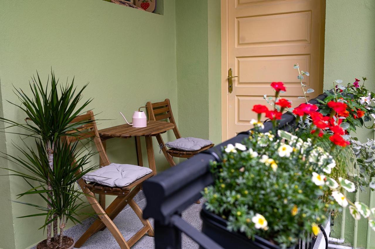 Casa Zielinski Сигишоара Экстерьер фото